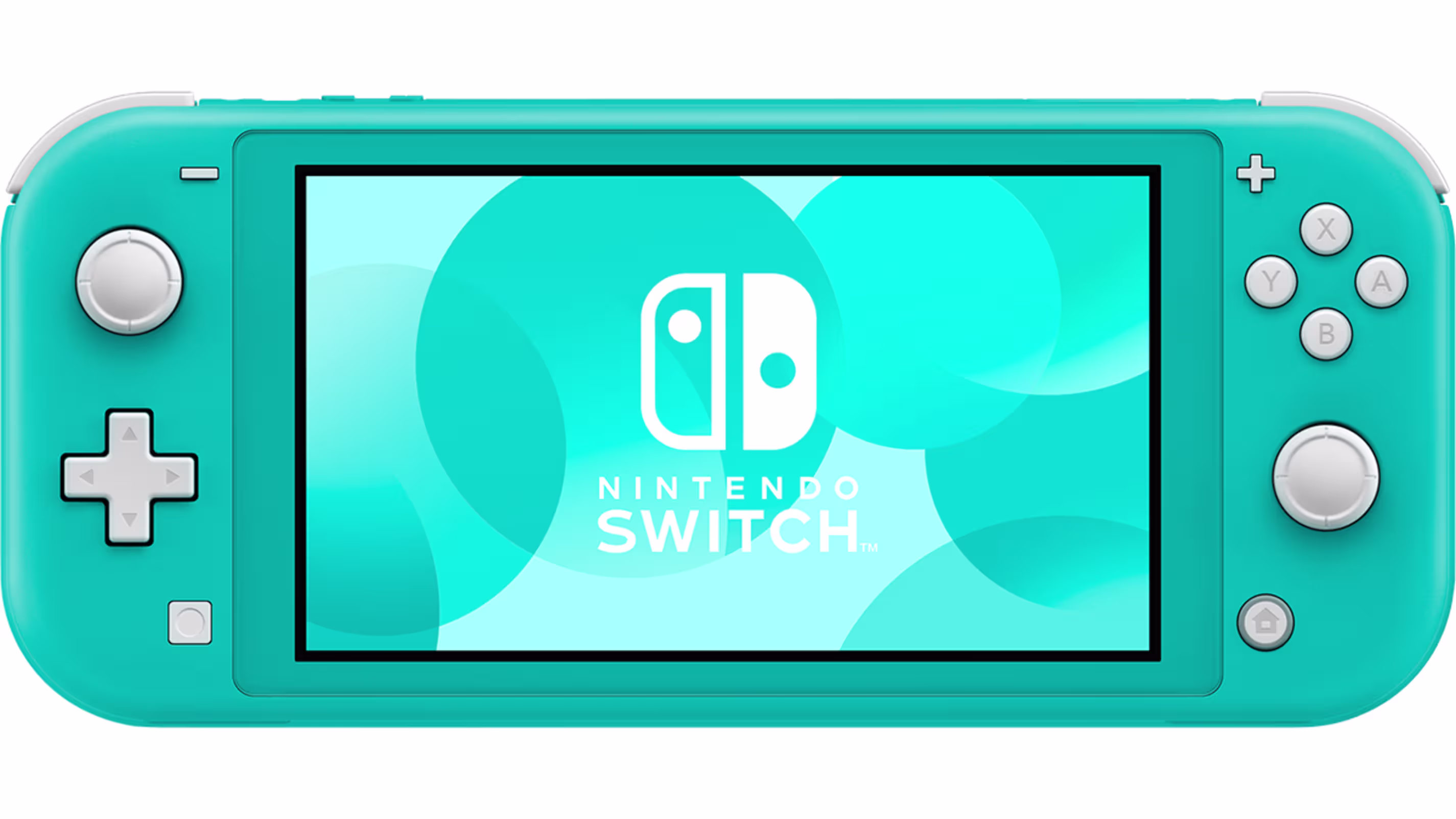 Modded Switch Lite